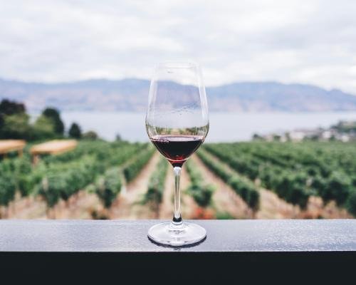 Drinks & Beverages img